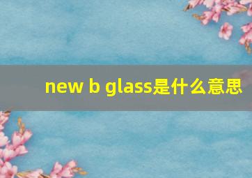 new b glass是什么意思